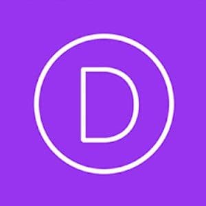 Logo de Divi Theme